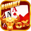 joy rummy 51 bonus