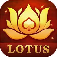 rules of gin rummy download